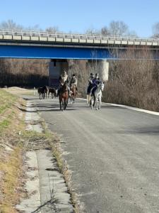 2020. Február 08. Móra híd túra